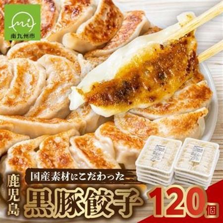 国産素材にこだわった鹿児島黒豚餃子120個【配送不可地域：離島】【1722553】