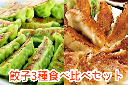 062-1-06 餃子3種食べ比べセット