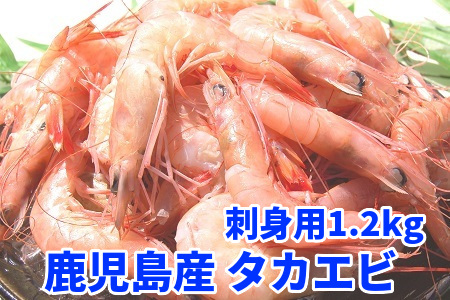 008 70 鹿児島産 タカエビ 刺身用1 2kg 鹿児島県南九州市 ふるさと納税サイト ふるなび