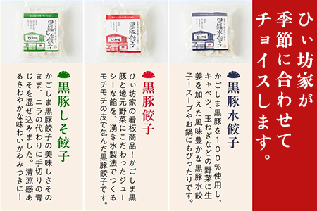 【全12回】ひぃ坊家の餃子定期便 015-20