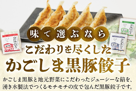 【全12回】ひぃ坊家の餃子定期便 015-20
