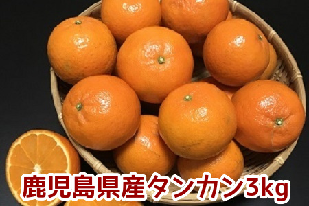 002-13 こだわりの薩摩濃密タンカン3kg