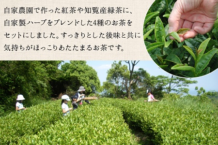 073-02 TEALAN 薩摩の紅茶セット