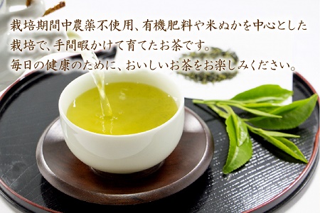 002-24 【知覧茶新茶祭り】知覧特別栽培茶3本セット
