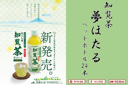 051-25 知覧茶夢ほたるペットボトル24本