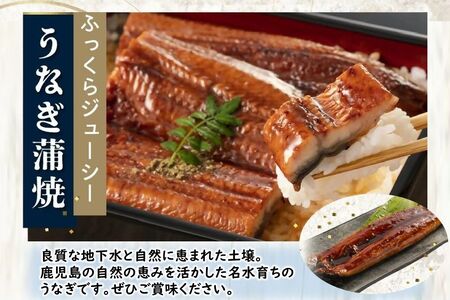 106-02 鹿児島県産黒毛和牛A5等級サーロイン4枚・鹿児島県産ウナギ2尾の贅沢セット