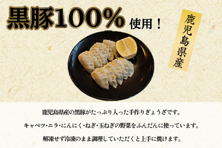 107-03 黒豚100%ギョウザ(10個入×8パック)