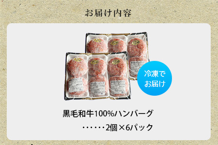 107-04 黒毛和牛100%ハンバーグ(2個入×6パック)