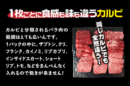 084-08 鹿児島県産黒毛和牛焼肉カルビ 400g