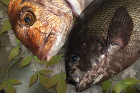 056-08 天然地魚の食べ比べ 鍋セット