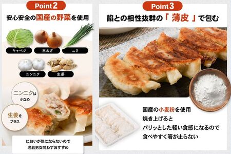 071-08 黒毛和牛ハンバーグ・黒豚餃子セット