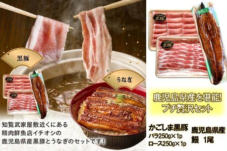 106-05 かごしま黒豚しゃぶしゃぶ用2パック・鹿児島県産ウナギ1尾のプチ贅沢セット