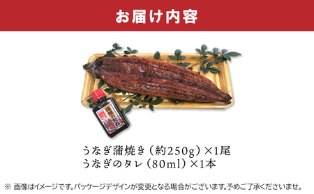 110-01 「特大」鹿児島県産うなぎ蒲焼き250g（タレ付き）