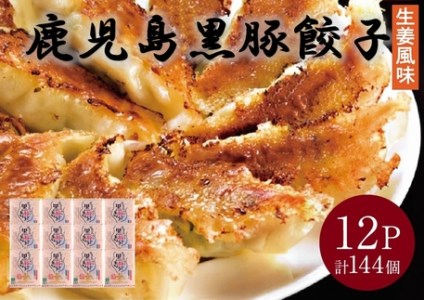 062-1-15 鹿児島黒豚餃子生姜風味12P(計144個)