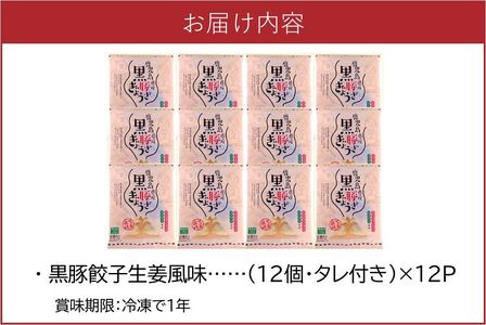 062-1-15 鹿児島黒豚餃子生姜風味12P(計144個)