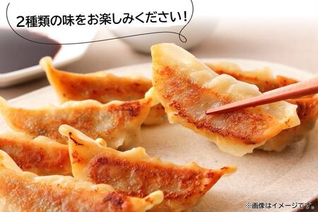 062-1-16 鹿児島黒豚餃子2種類12P(計144個)