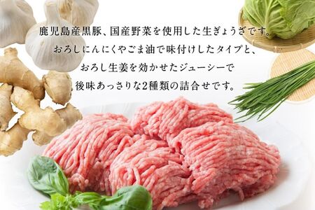 062-1-16 鹿児島黒豚餃子2種類12P(計144個)