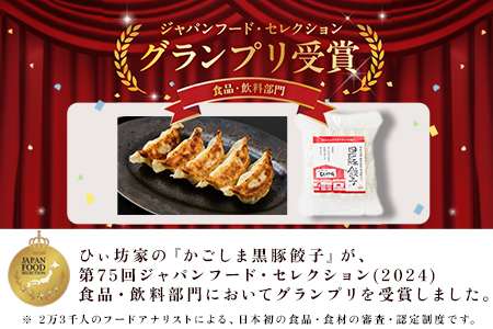 015-23 定番のかごしま黒豚餃子100個(タレ付)