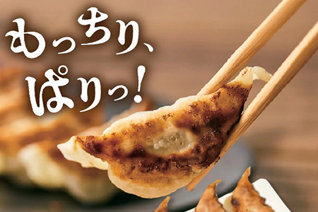 015-23 定番のかごしま黒豚餃子100個(タレ付)