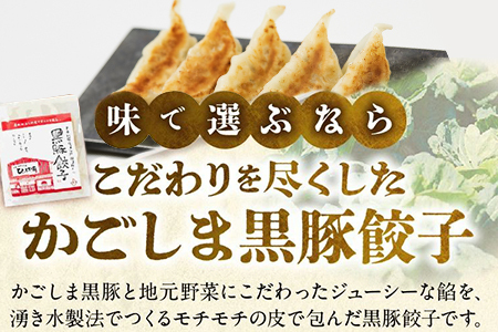 015-23 定番のかごしま黒豚餃子100個(タレ付)
