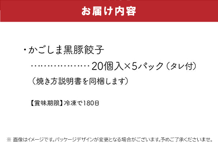 015-23 定番のかごしま黒豚餃子100個(タレ付)