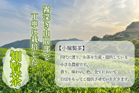 118-04 小堀製茶の2025年産煎茶『TEA PACK』6個セット