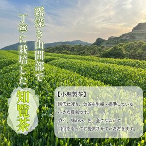 小堀製茶の2025年産煎茶『TEA PACK』9個セット【1186001】