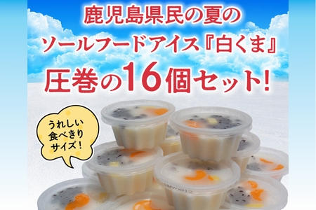 008-78 南国白くまカップ16個セット