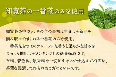 037-34 別撰熟成 桜島・知覧上等梅酒セット