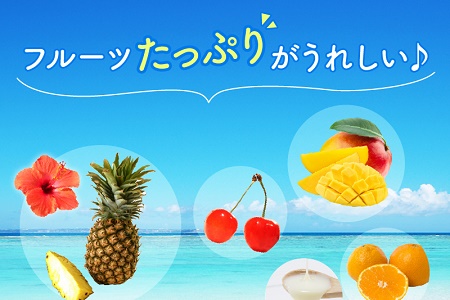 062-8-16 鹿児島名物 南国白くまDX詰合せ