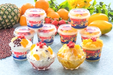 062-8-16 鹿児島名物 南国白くまDX詰合せ