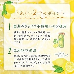 檸檬酎720ml×6本セット【1186282】