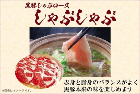 027-78 鹿児島県産黒豚三昧！とんかつ用黒豚・しゃぶしゃぶ・絶品生ハムセット