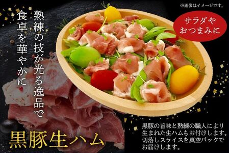 027-81 鹿児島黒豚しゃぶしゃぶ食べ比べ1000g 生ハム100g付き