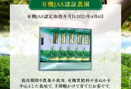 002-22 知覧特別栽培茶5袋セット