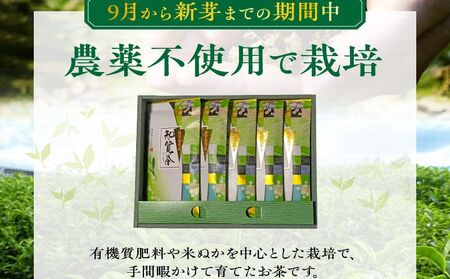 002-26 知覧特上深蒸し茶５本セット