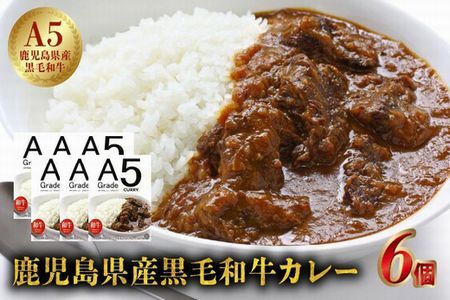 027-91 5等級黒毛和牛カレー ごろごろお肉入り200gx6個
