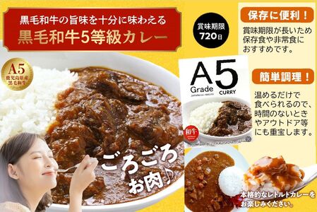 027-91 5等級黒毛和牛カレー ごろごろお肉入り200gx6個