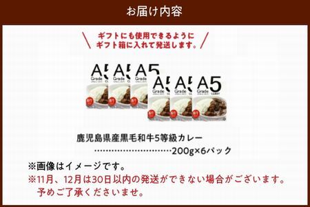 027-91 5等級黒毛和牛カレー ごろごろお肉入り200gx6個