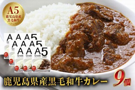 027-92 5等級黒毛和牛カレー ごろごろお肉入り200gx9個