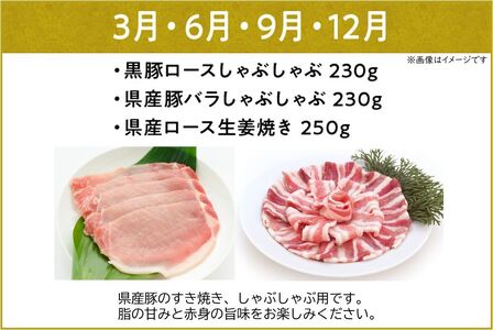 農家のお肉工場直送【3回定期便】鹿児島お肉三昧定期便 027-93