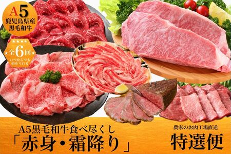 【全6回】鹿児島県産A5黒毛和牛霜降り・赤身食べ尽くし特選便3kg 027-95