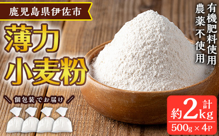 isa480《毎月数量限定》あんしん小麦粉・薄力粉(約500g×4袋・計約2kg） 小麦粉 小麦 薄力粉 薄力小麦粉 鹿児島県 伊佐市 お菓子作り 料理 有機肥料 農薬不使用【しげふみファーム】