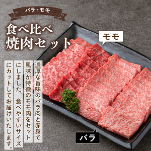 isa507 鹿児島産黒毛和牛 食べ比べ焼肉セット(計600g・バラカルビ・モモ焼肉各種300g×1P) 国産 牛 牛肉 肉 味付き BBQ 炒め物 冷凍 冷凍便 カルビ 詰め合わせ【お肉の直売所 伊佐店】