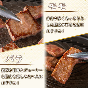 isa507 鹿児島産黒毛和牛 食べ比べ焼肉セット(計600g・バラカルビ・モモ焼肉各種300g×1P) 国産 牛 牛肉 肉 味付き BBQ 炒め物 冷凍 冷凍便 カルビ 詰め合わせ【お肉の直売所 伊佐店】