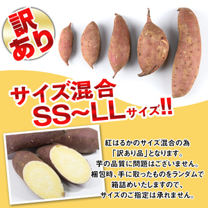 isa521 《訳あり》熟成紅はるか(約5kg・SS～LLサイズ混合) 訳あり