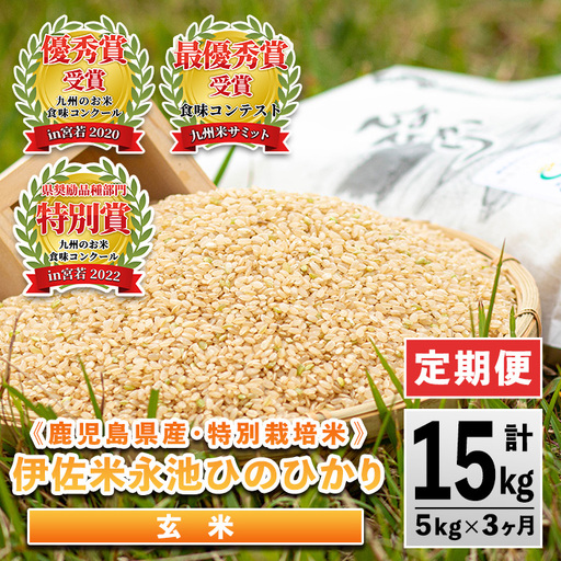 isa537 【定期便】令和7年産 特別栽培米 永池ひのひかり玄米(計15kg・5kg×3ヶ月)鹿児島 永池 お米 米 玄米 伊佐米 九州米サミット 食味コンテスト 最優秀賞受賞 ヒノヒカリ【エコファーム永池】