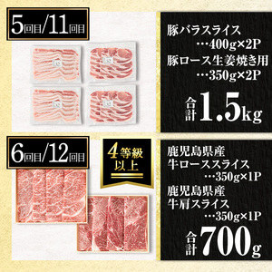 isa586 【伊佐の日・寄附額改定】【定期便12回】豚・牛が交互に届く生活応援定期便(合計17.5kg) 肉 豚肉 牛肉 霜降り すきやき しゃぶしゃぶ スライス 生姜焼き 豚バラ 切り落とし 焼肉 冷凍 ロース カタロース 肩ロース BBQ アウトドア コンシェルジュ 【サンキョーミート株式会社】