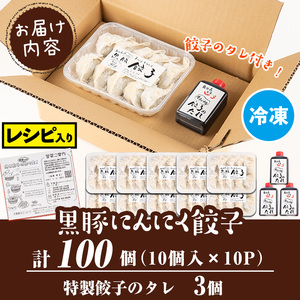 isa590 ＜2024年12月発送分(12月中に発送)＞手づくり黒豚にんにく餃子(計100個・10個入り×10P)鹿児島 手作り 生餃子 ギョウザ 黒豚 豚肉 冷凍食品 おかず おつまみ 惣菜 小分け 焼くだけ 簡単調理 冷凍便【工房ゆう】