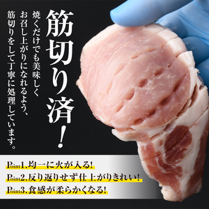 isa612 〈訳あり〉鹿児島県産黒豚ロースとんかつ用・肩ロースとんてき用セット (合計840g) 真空包装 真空パック トンカツ ロース 肩 トンテキ 豚 ぶた 豚肉 アウトドア 食べ比べ BBQ 冷凍 【サンキョーミート株式会社】